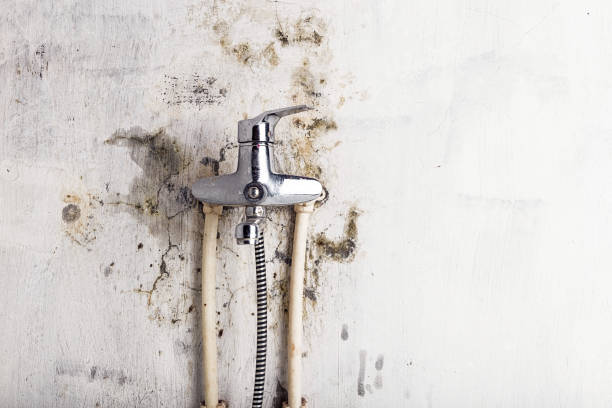 Reliable Becker, MN Mold Remediation Solutions