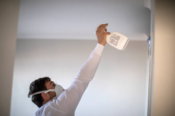 Best Kitchen Mold Remediation in Becker, MN